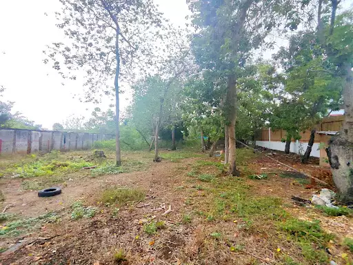 FENCED LOT FOR SALE IN BANKAL, LAPU-LAPU CITY — Residential Lot in Lapu-Lapu City, Cebu, Philippines — Photo 5