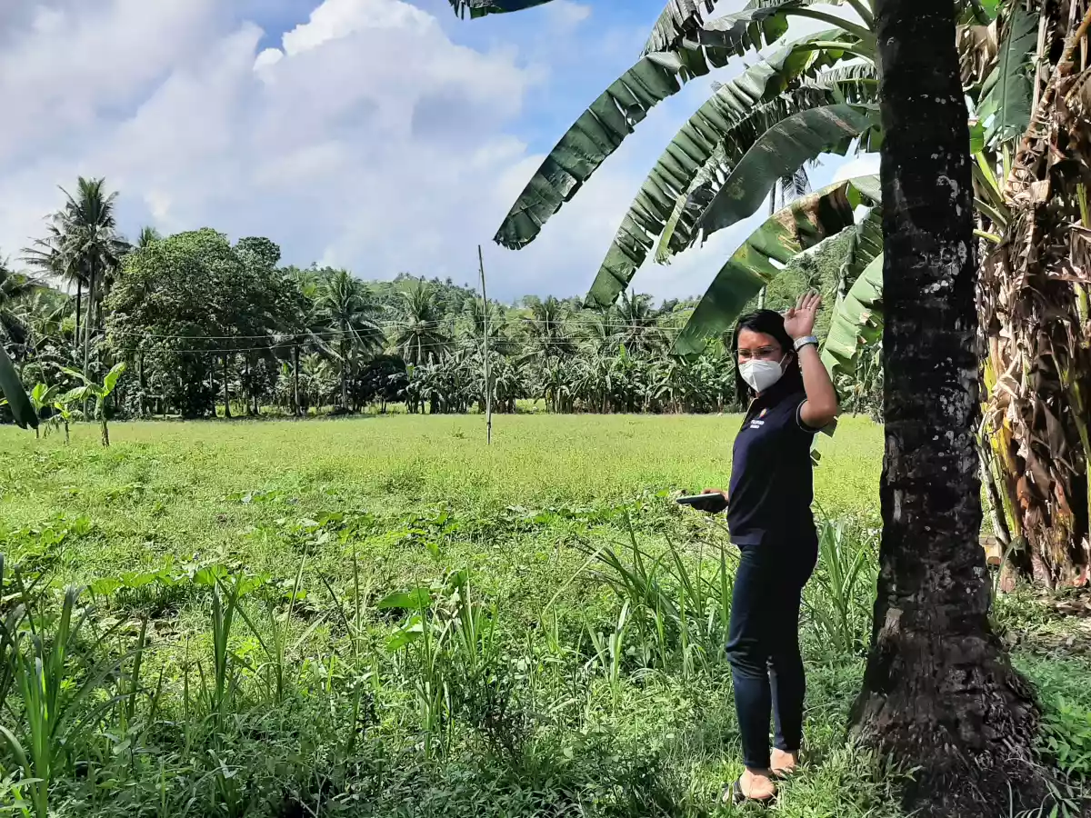 Open photo 16 of 20 — Lot For Sale!!