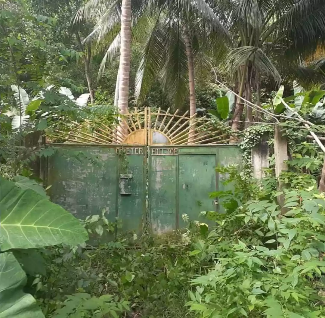 OVERLOOKING LOT ALONG THE NATIONAL ROAD FOR SALE - photo 2