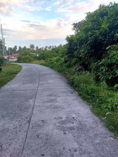 Residential Lots for Sale in Bacong/Dumaguete — Residential Lot in National Road, Zamboanguita, 6218 Negros Oriental — Photo 4
