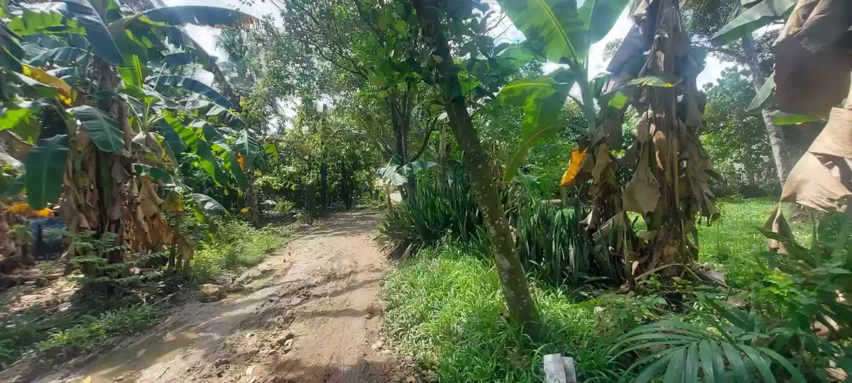 Lot for Sale - photo 6
