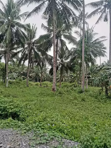 1911 sqm lot for Sale Near UST, Gensan — Residential Lot in General Santos City, South Cotabato, Philippines — Photo 4
