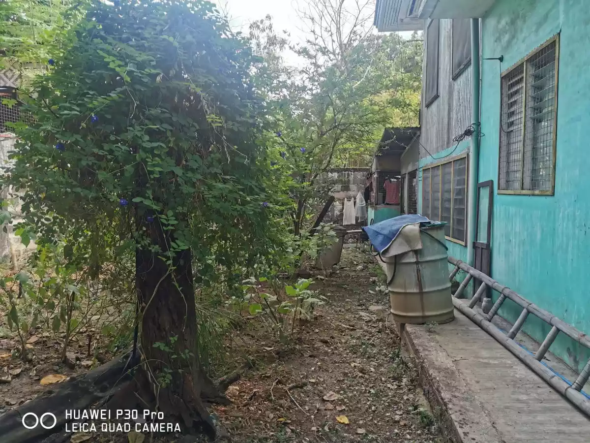 LOT FOR SALE WITH EXISTING HOUSE IN  IBABAO MANDAUE CITY  - photo 6