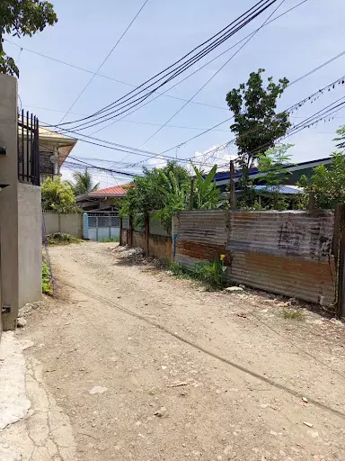 Residential Lot in Dawis, Talisay for Sale — Residential Lot in Dawis Road, Talisay, Cebu — Photo 5