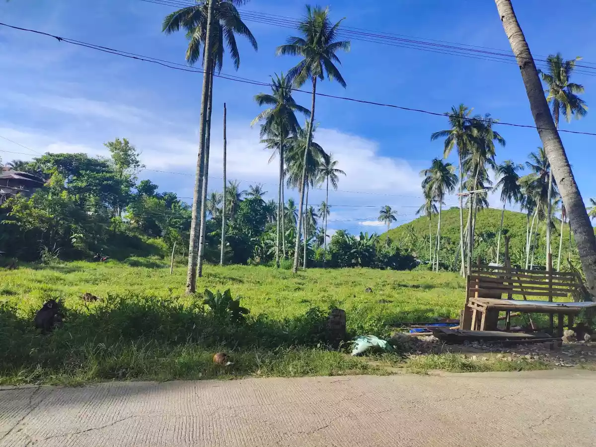 6220sqm Industrial Lot in Compostela — Industrial Lot in Compostela, Cebu, Philippines — Photo 2