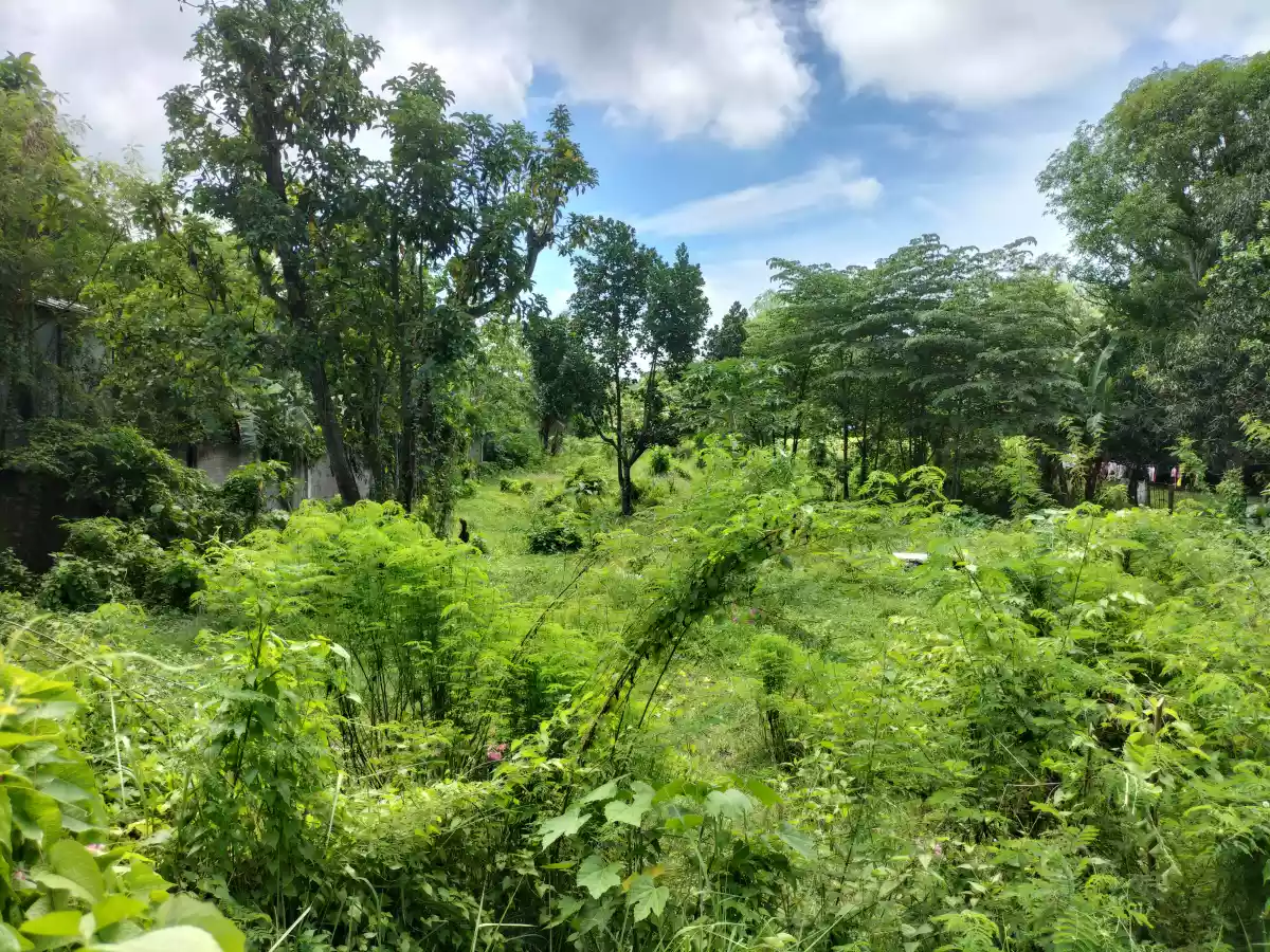 Residential lot - photo 6