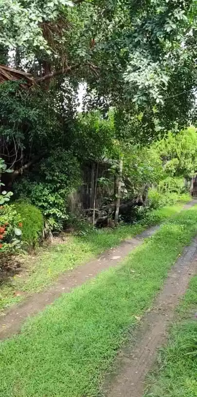 Lot For Sale in Banilad across BIR - photo 3