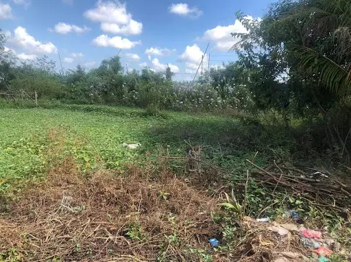 T7144651 — Residential Lot in Mandurriao, Iloilo City, Iloilo — Photo 3