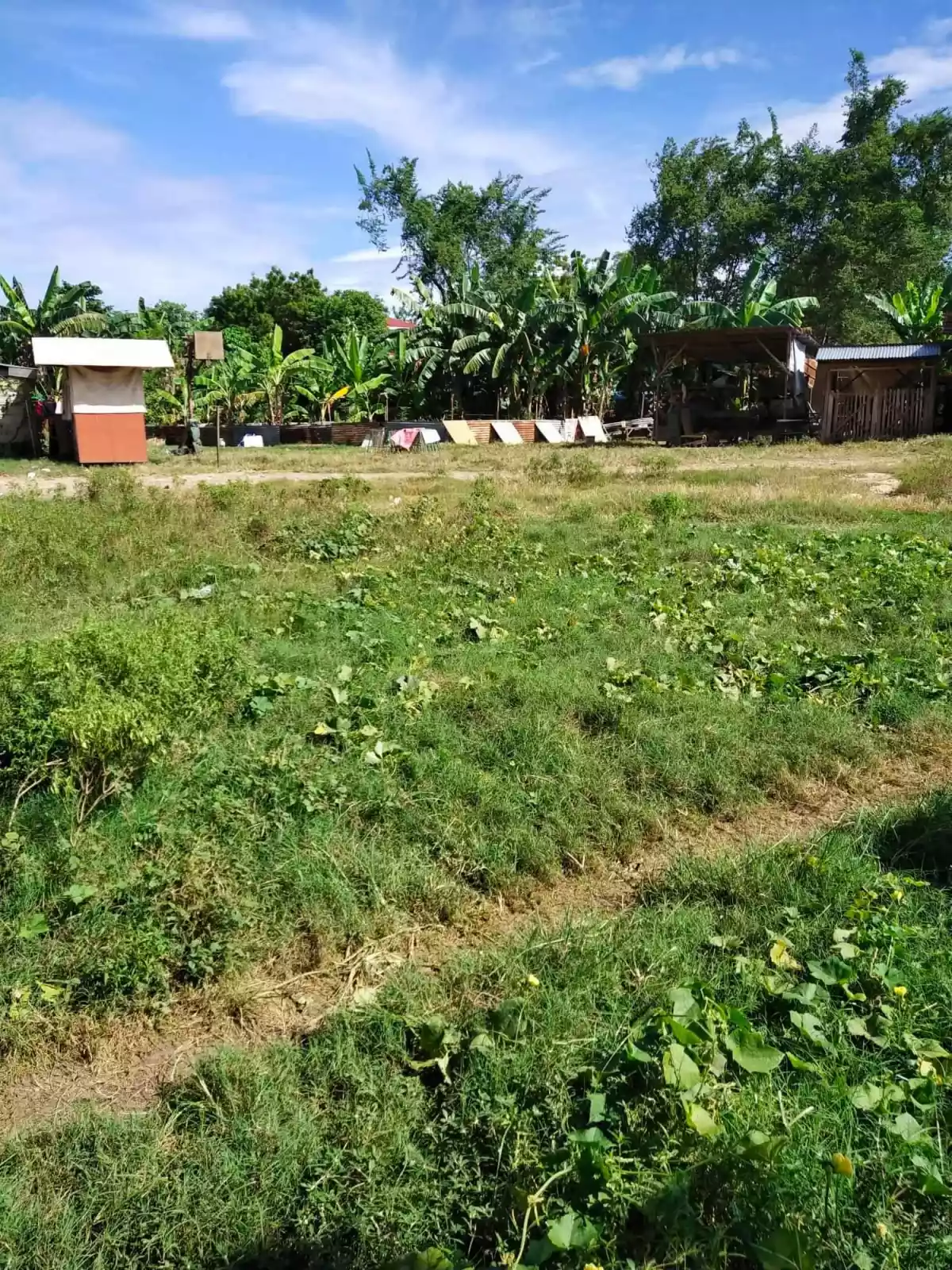 Affordable lot for sale - photo 3
