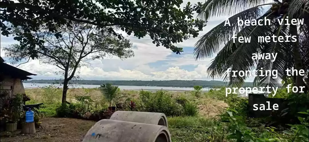 For Sale: LOT ( classified as commercial & residential ) along main highway at Samal Island Davao — Commercial Lot in Samal, Island Garden City of Samal, Davao del Norte — Photo 7