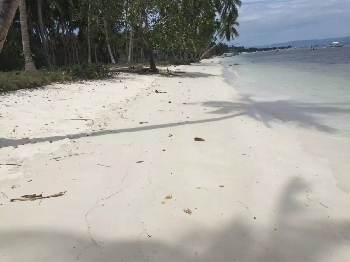 Titled — Commercial Lot in Panglao, Bohol, Philippines — Photo 4