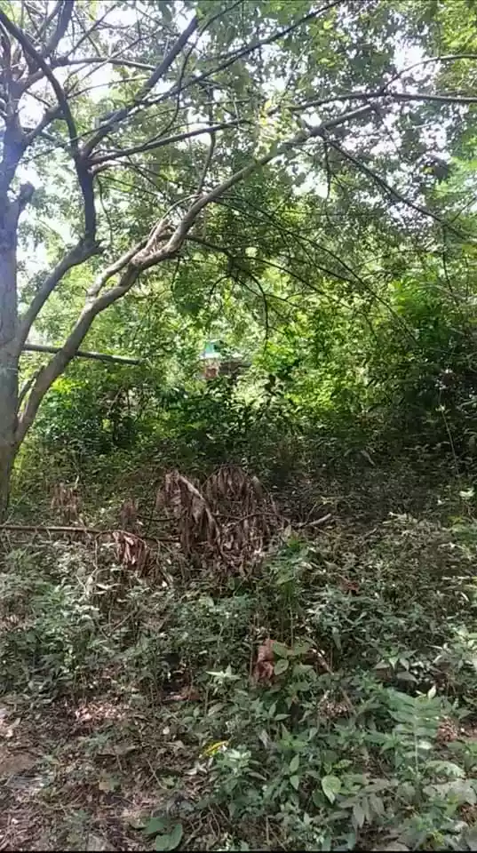 Affordable Lot for Sale in Tagbilaran City - photo 3