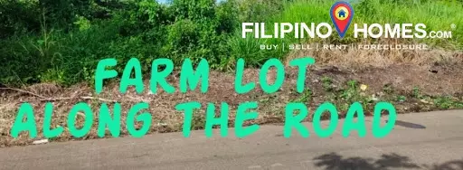 Agricultural Lot for Sale in Naga, Camarines Sur — Agricultural Lot in Naga, Camarines Sur, Philippines — Photo 4