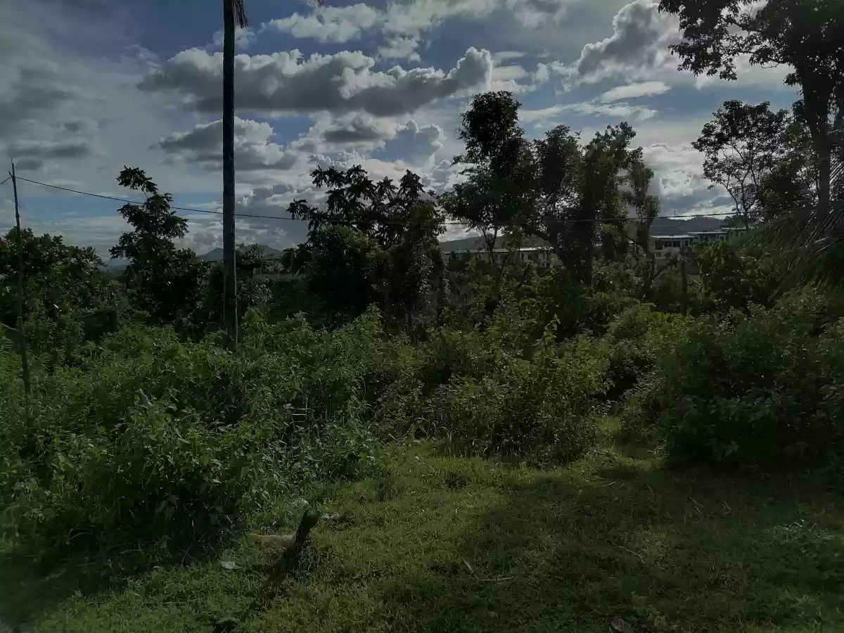 LOT ONLY FOR SALE - photo 3