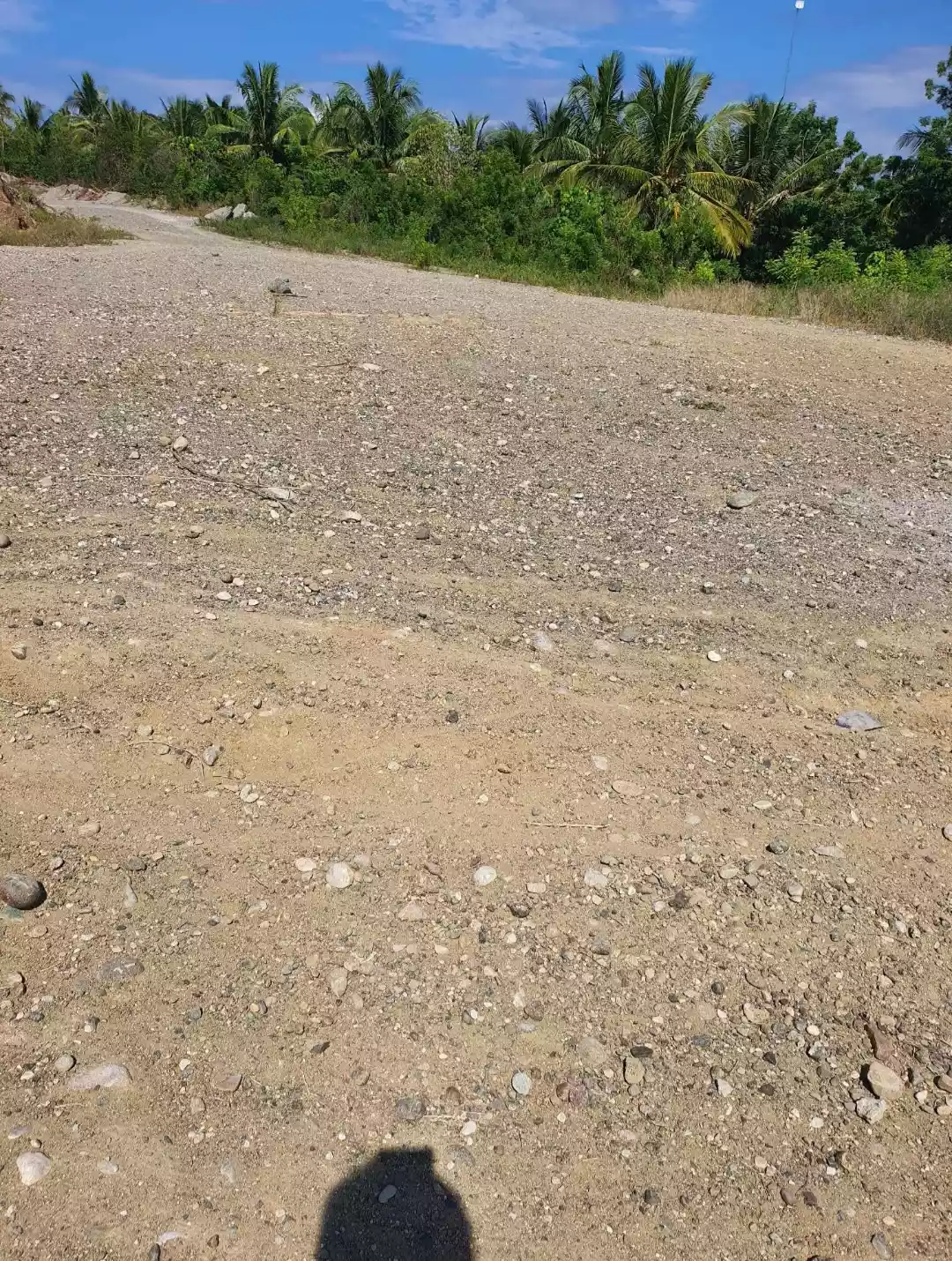 20125 — Agricultural Lot in Lun Padidu, Malapatan, Sarangani — Photo 4