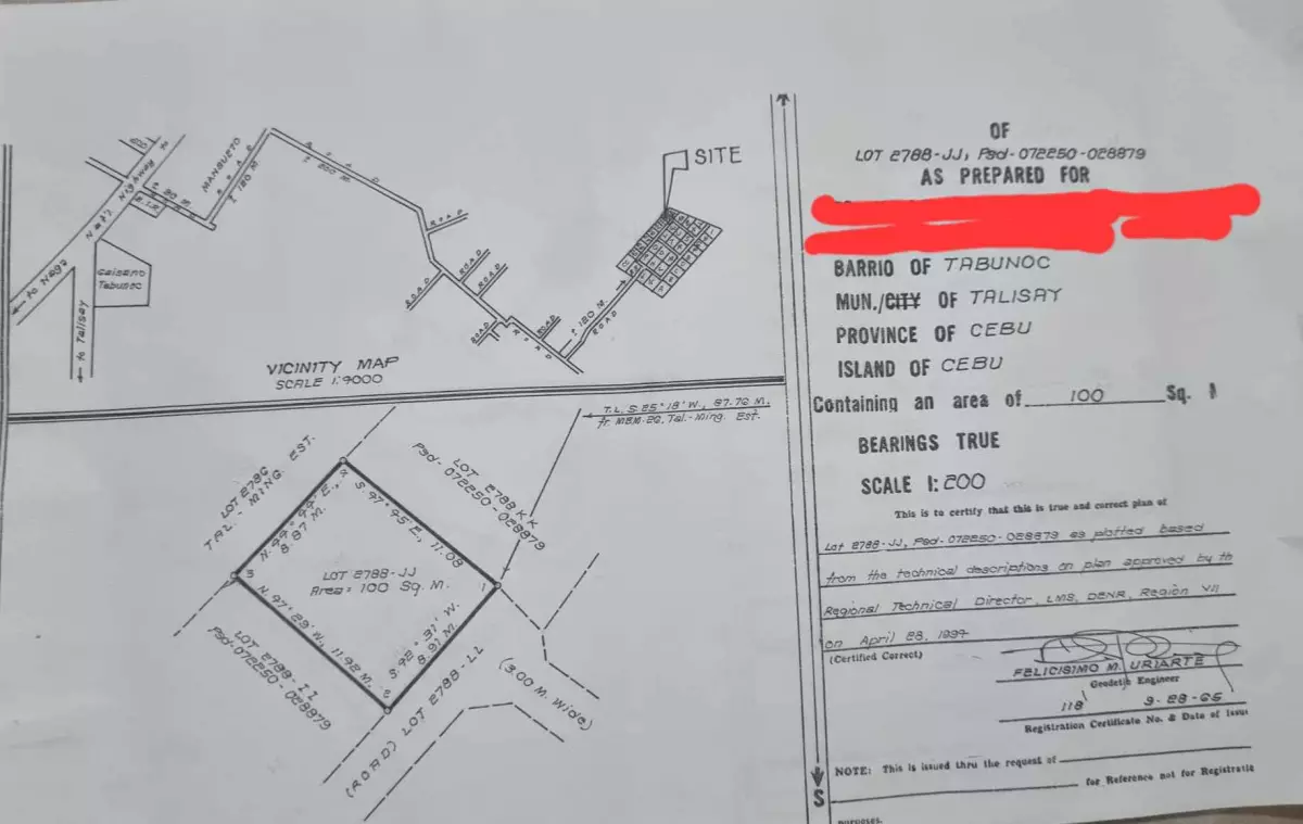 Lot for sale in Talisay City,Cebu - photo 5
