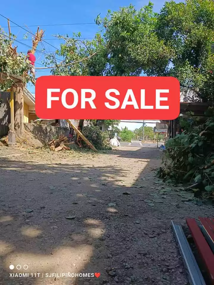 Commercial Lot in Talisay along highway - photo 2