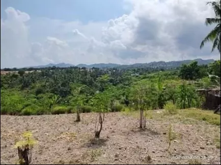 RUSH! 150SQM LOT FOR ASSUME MINGLANILLA — Agricultural Lot in Cebu, Philippines — Photo 6