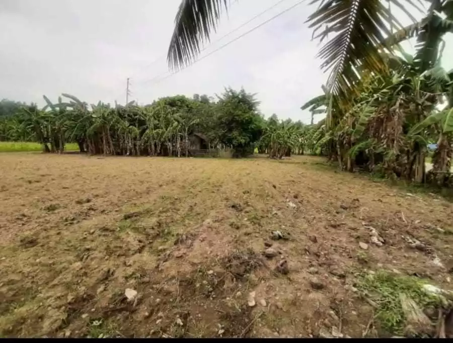 Lot For Sale!!