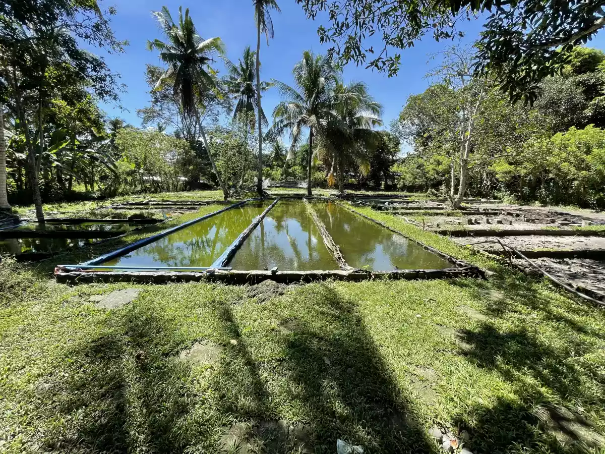 Lot for Sale — Residential Lot in PUROK 17 SAN VICENTE, Panabo, Davao del Norte — Photo 6
