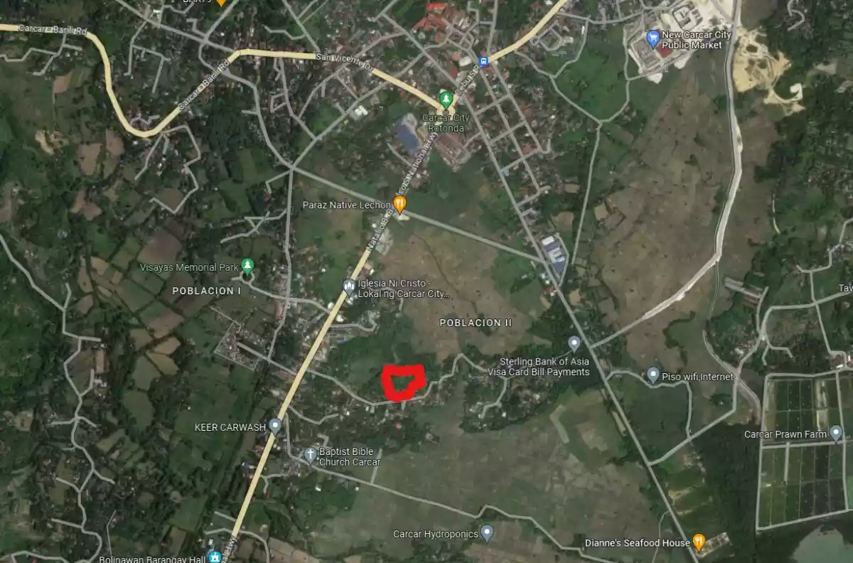BARATO nga YUTA sa CARCAR! P2,500/sqm — Agricultural Lot in Carcar City, Cebu, Philippines — Photo 2