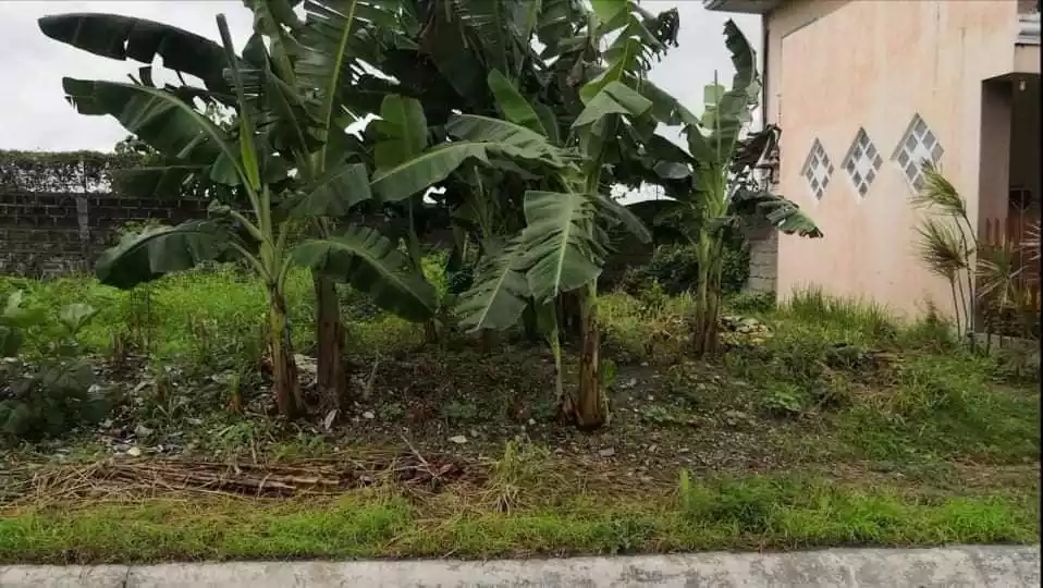 LAPU-LAPU LOT FOR SALE — Residential Lot in Lapu-Lapu City, Cebu, Philippines — Photo 3
