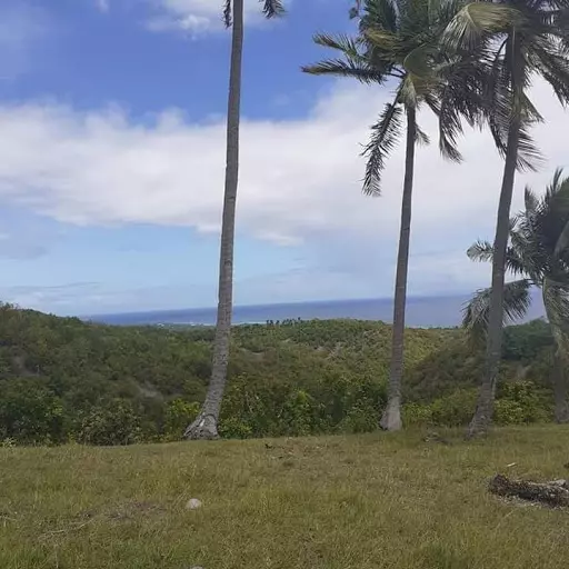 LOT for sale — Residential Lot in Boljoon, Cebu, Philippines — Photo 6