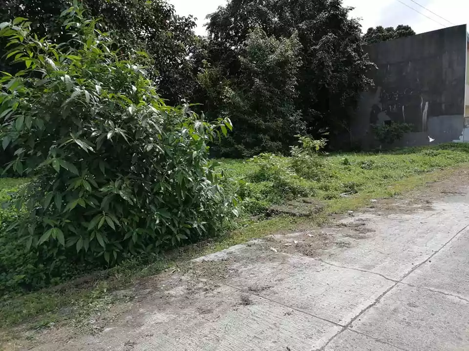 200sqm. lot in Doongan Butuan City along cemented road - photo 6