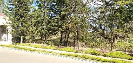 137-2017000825 — Space in Cagayan de Oro, Misamis Oriental, Philippines — Photo 4