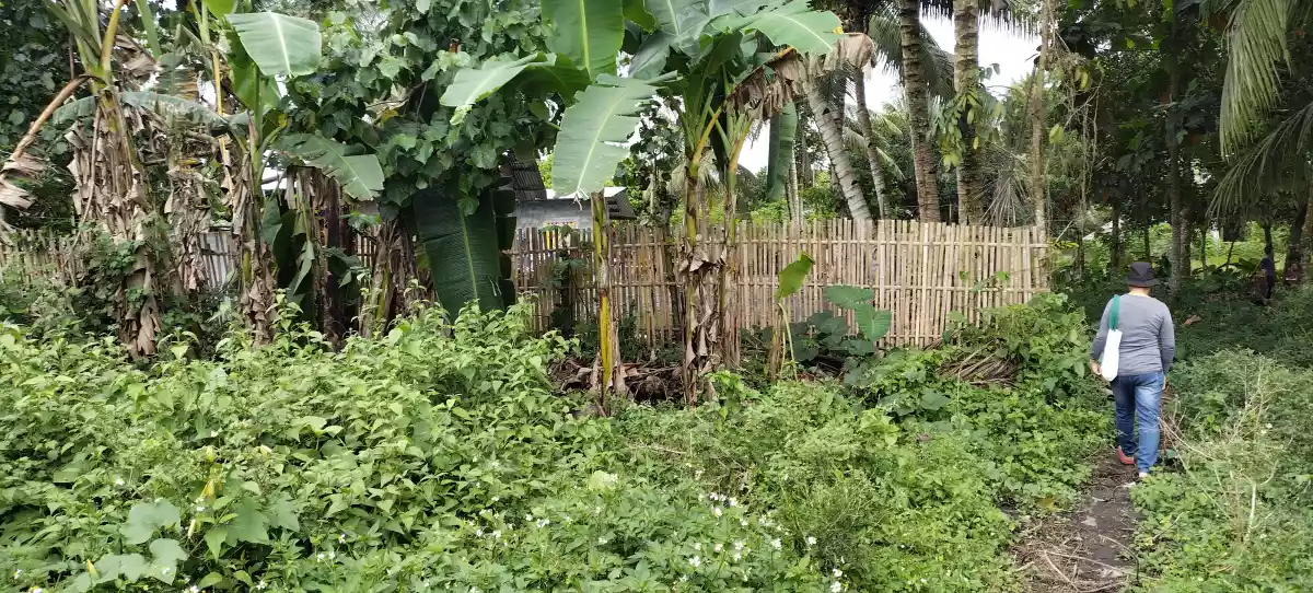150meters away highway — Industrial Lot in Polomolok, South Cotabato, Philippines — Photo 6
