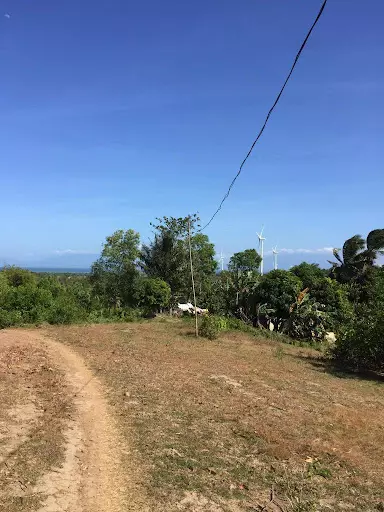 Guimaras land — Agricultural Lot in Guimaras, Philippines — Photo 6