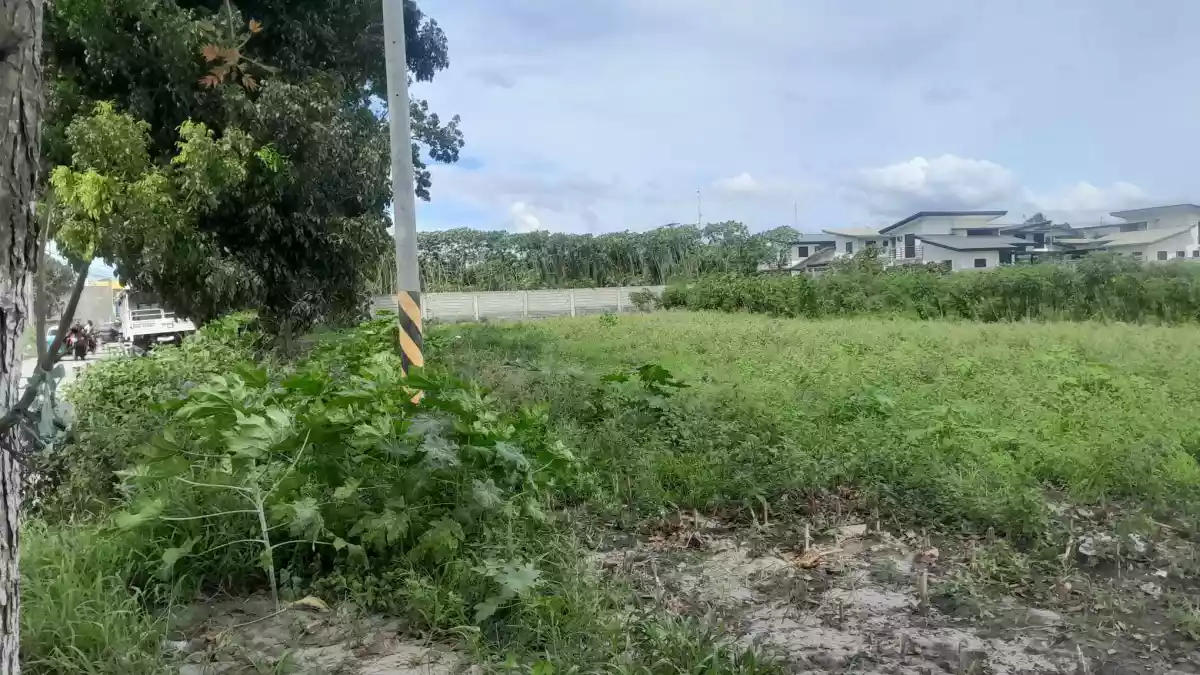 Agricultural Lot Ideal for Commercial Lot in Mabuhay Road (Corner) — Agricultural Lot in General Santos City, South Cotabato, Philippines — Photo 6