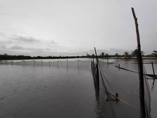 Fishpond with Building — Agricultural Lot in Magallanes, Agusan Del Norte, Philippines — Photo 3