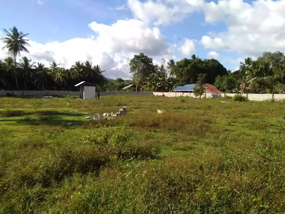 LOT FOR SALE IN SIBULAN - photo 4