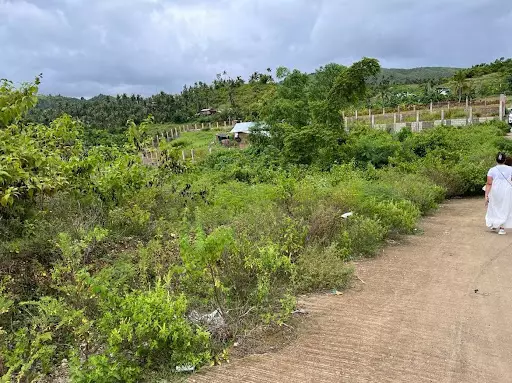 Overlooking Arg1 — Residential Lot in Cebu, Philippines — Photo 3