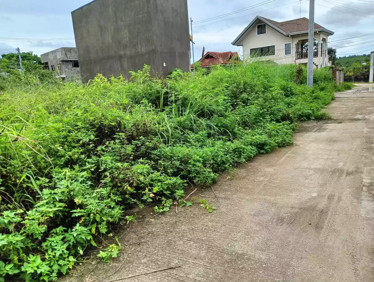 LOT FOR SALE IN LILOAN, CEBU - photo 4