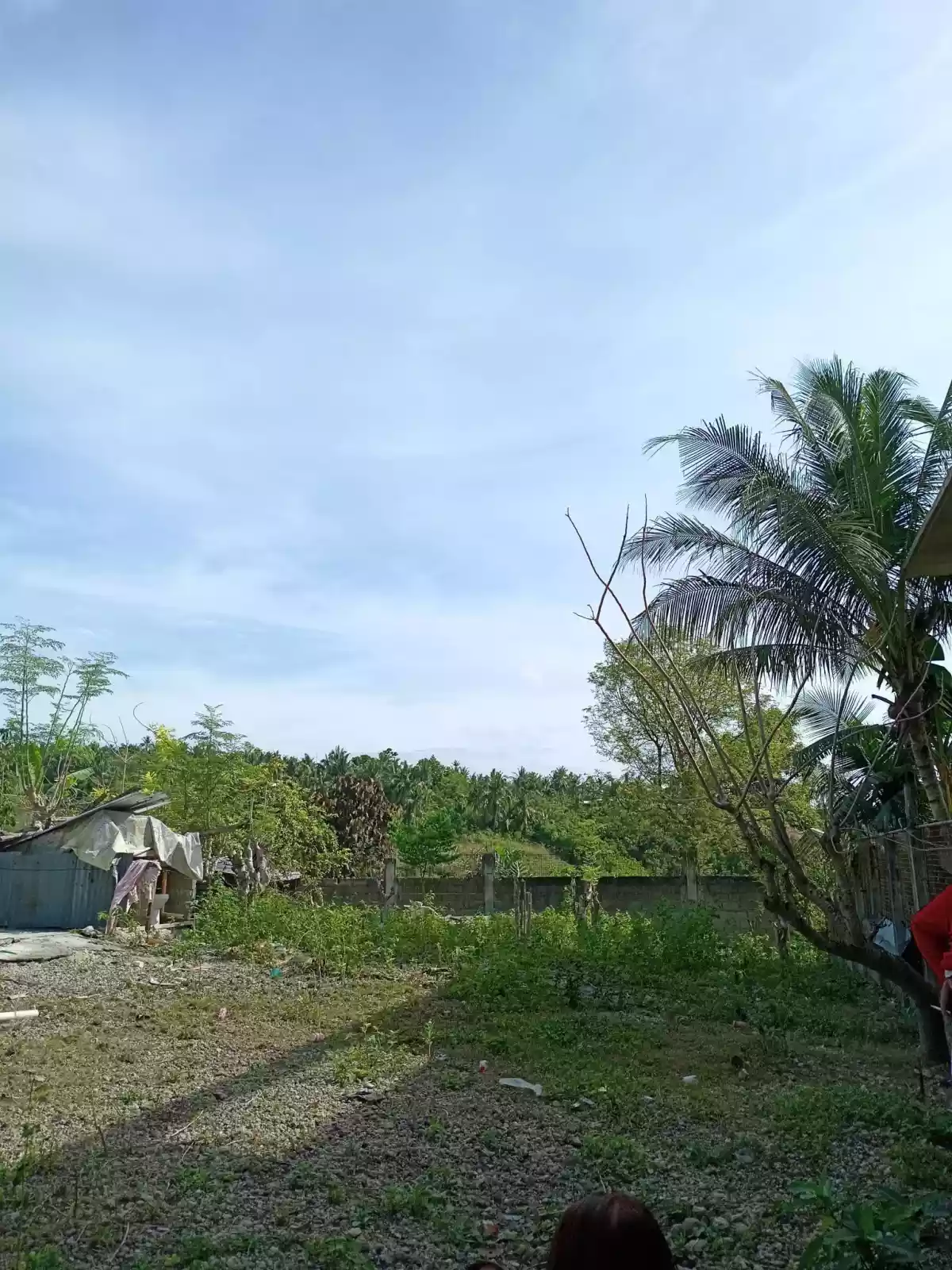 RESIDENTIAL LOT IN SAN FERNANDO, CEBU - photo 2