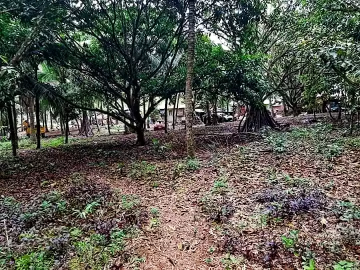Farmlot - photo 5