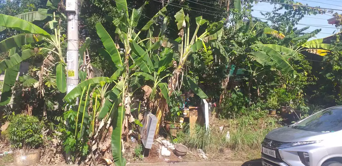 Residential Lot for Sale in Clapperail St., Bellisario Heights, Davao City — Residential Lot in Davao City, Davao del Sur, Philippines — Photo 5