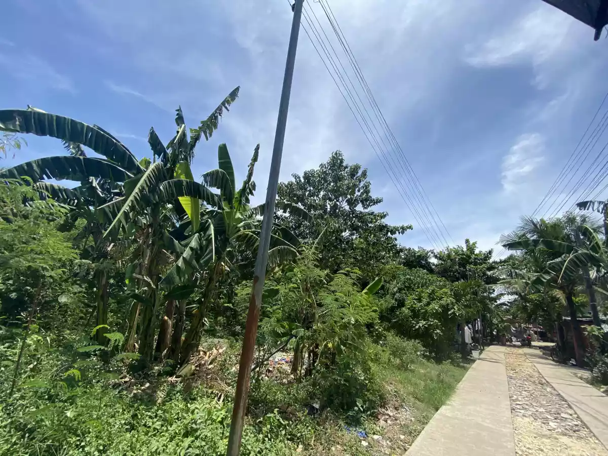 Alegria Cordova Lot for Sale — Residential Lot in Cordova, Cebu, Philippines — Photo 6