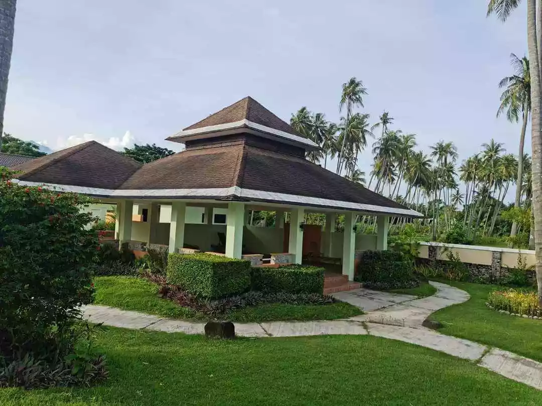 Apo Vista Beach Park 700sqm For Sale - photo 4