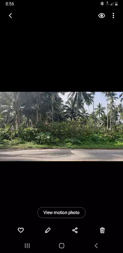 LOT ONLY — Agricultural Lot in Butuan City, Agusan Del Norte, Philippines — Photo 3