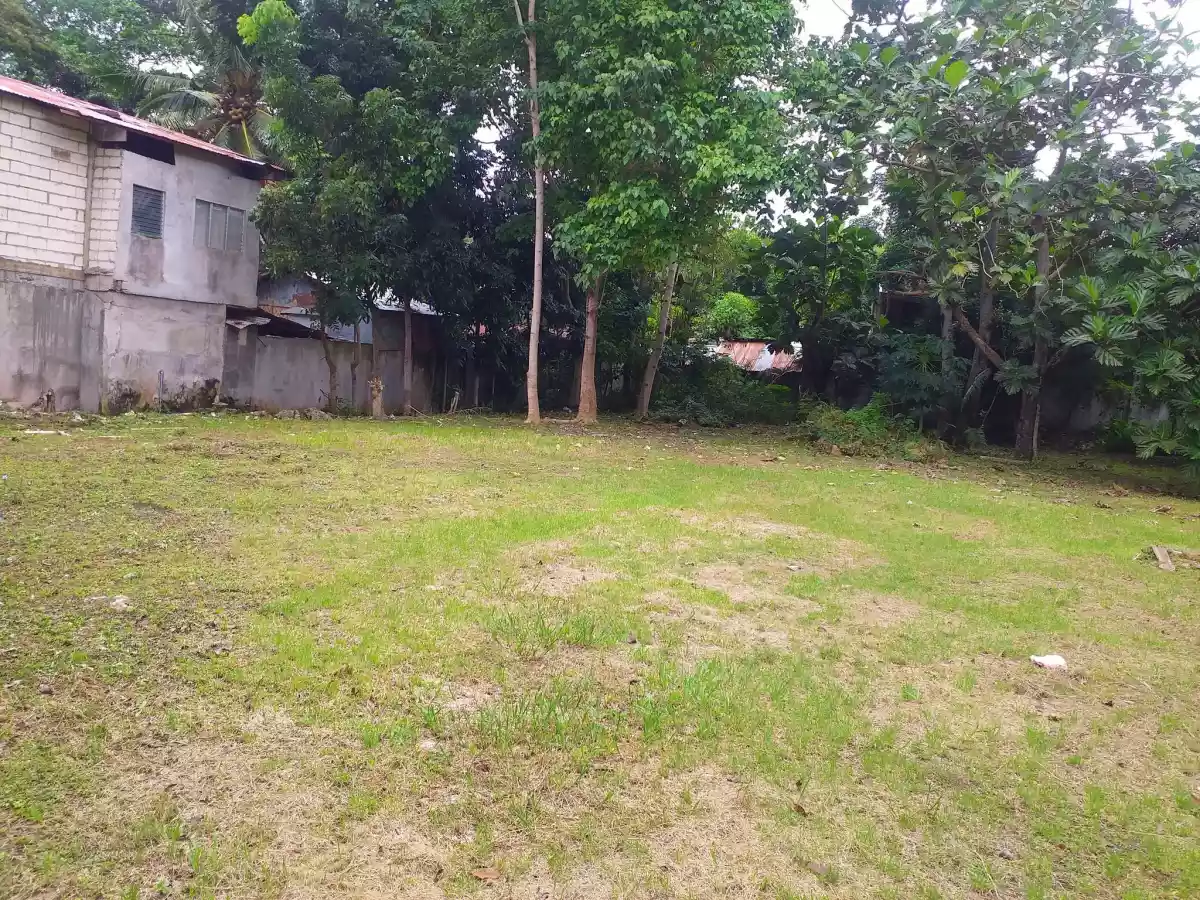 Residential Lot in Tagbilaran City - photo 2