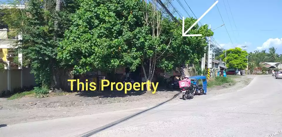 FS: 300 SQM COMMERCIAL LOT ALONG NLSA ROAD WALKING DISTANCE FROM QUANTUM ACADEMY - photo 2