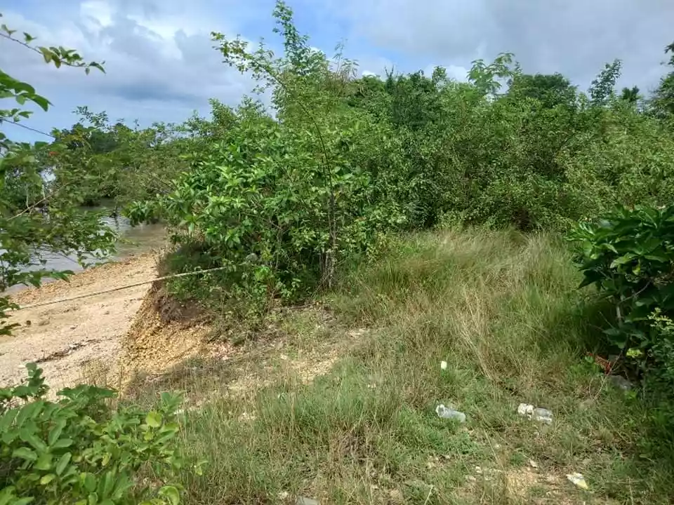 Medellin beach lot — Beach Lot in Medellin, Cebu, Philippines — Photo 5
