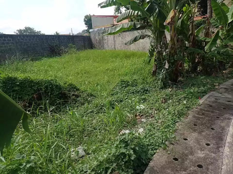 SUBDIVISION LOT FOR SALE: - photo 4