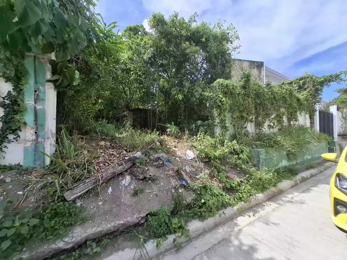 Residential Lot for Sale in San Antonio Village Lahug — Residential Lot in Apas, 2nd Street, Cebu City — Photo 3
