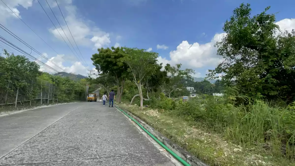 Lot for Sale in Maria Luisa Estate Park - photo 4