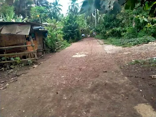 Residential lot for sale — Residential Lot in calinan, Davao City, Davao del Sur — Photo 5