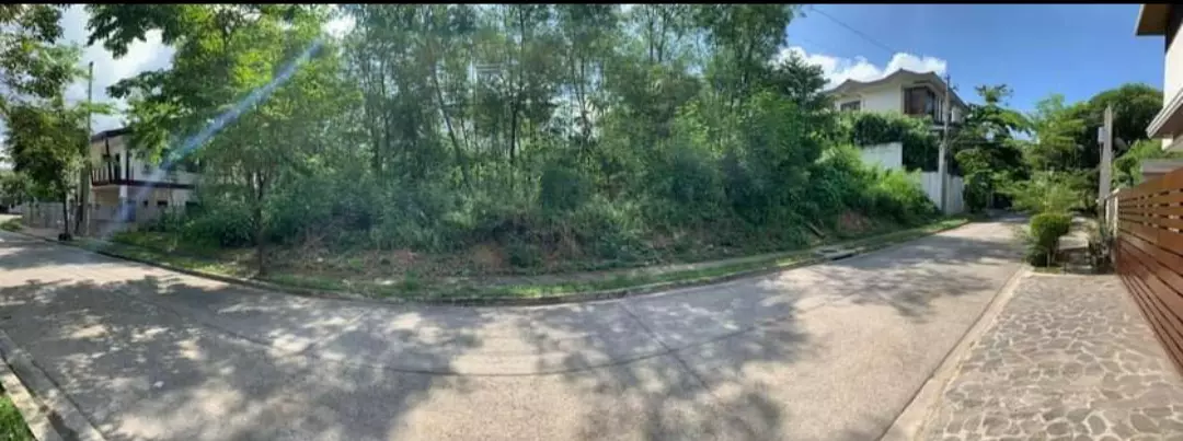 LOT FOR SALE @Heritage,Jagobiao, Mandaue  - photo 6